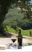 Туры в отель Dievole Wine Resort