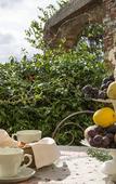 Туры в отель Dievole Wine Resort