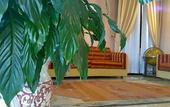 Туры в отель Hotel Garibaldi