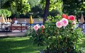 Туры в отель Hotel Tre Stelle