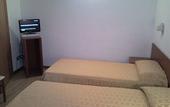Туры в отель Albergo al Viale