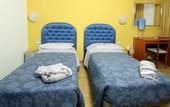 Туры в отель Albergo al Viale