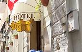 Туры в отель Albergo al Viale