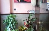 Туры в отель Albergo al Viale