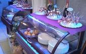 Туры в отель Albergo al Viale