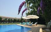 Туры в отель Business Hotel