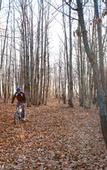 Туры в отель Bosco Ciancio