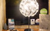 Туры в отель Hotel Bellevue