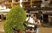 Туры в отель Lowenhof