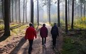 Туры в отель Landgoed Zonheuvel