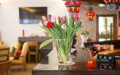 Туры в отель Hotel Mountime