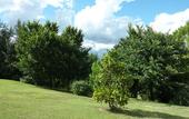 Туры в отель Hotel La Rocca