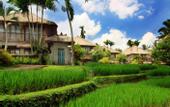Туры в отель Kamandalu Resort & SPA