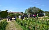 Туры в отель Corte San Mattia - Agriturismo in Verona
