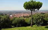 Туры в отель Corte San Mattia - Agriturismo in Verona