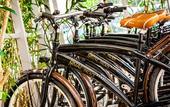Туры в отель Hotel Kristal Palace - Tonelli Hotels - Adult Friendly