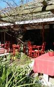 Туры в отель Tsitsikhaya Lodge