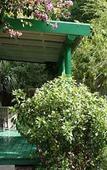 Туры в отель Tsitsikhaya Lodge