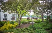 Туры в отель The Lake House on Canandaigua