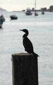 Туры в отель Mariners on the Waterfront