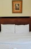 Туры в отель Dana Hotel
