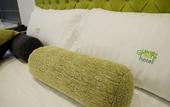 Туры в отель Lleras Green Hotel