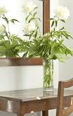 Туры в отель B&B Albaro