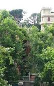 Туры в отель B&B Albaro