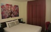 Туры в отель Sure Hotel by Best Western Tours Sud