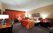 Туры в отель Hotel Vianen - Utrecht