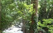 Туры в отель Hotel Bel'Alp Manosque