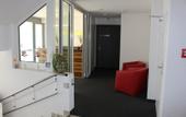 Туры в отель flexy.motel Wil