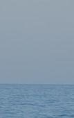 Туры в отель Pal Beach