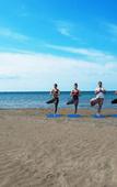 Туры в отель Pal Beach