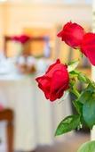 Туры в отель Hotel Londra