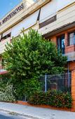 Туры в отель Hotel AACR Monteolivos