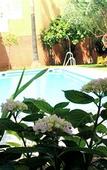 Туры в отель Hotel AACR Monteolivos
