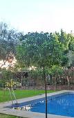 Туры в отель Hotel AACR Monteolivos