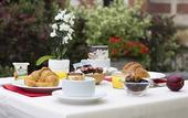 Туры в отель Hotel Le Dauphin