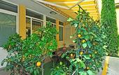 Туры в отель Bed & Breakfast Ai Cipressi