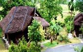 Туры в отель Kampung Tok Senik Resort