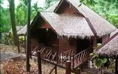 Туры в отель Kampung Tok Senik Resort