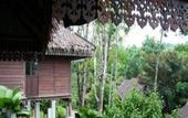Туры в отель Kampung Tok Senik Resort
