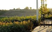 Туры в отель La Foresteria Planeta Estate