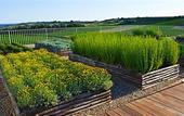 Туры в отель La Foresteria Planeta Estate