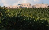 Туры в отель La Foresteria Planeta Estate
