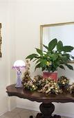Туры в отель Hotel Ridolfi