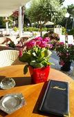 Туры в отель Hotel Ridolfi