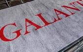 Туры в отель Hotel Galant