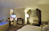 Туры в отель Wellings Parkhotel